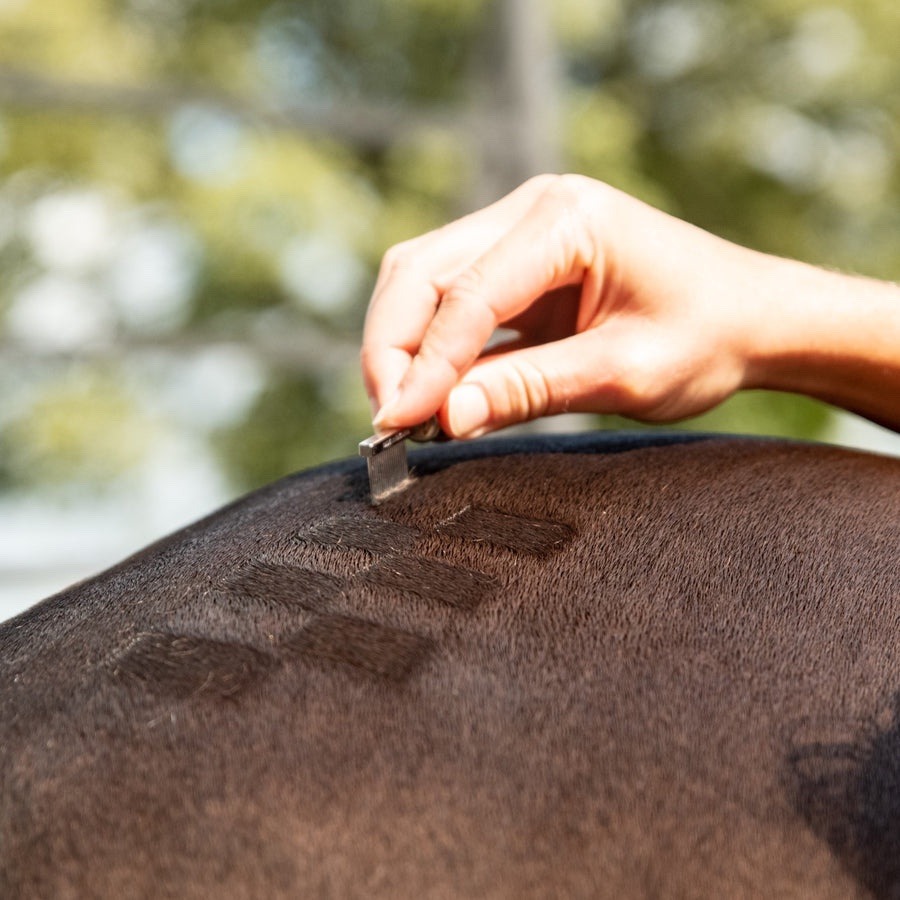 Smart Groom Standard Quarter Mark Comb - Image 2