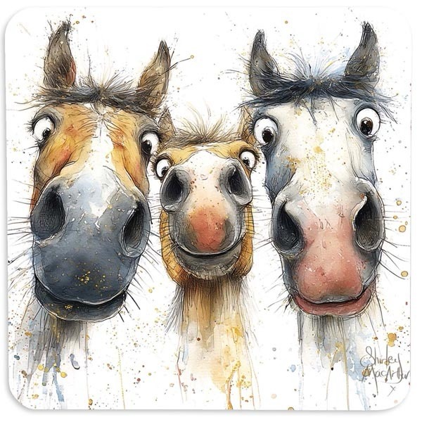 Unsaddled Coasters