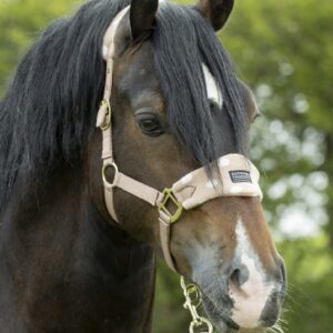 Supreme Products Dotty Fleece Head Collar & Lead Rope Luxurious Latte