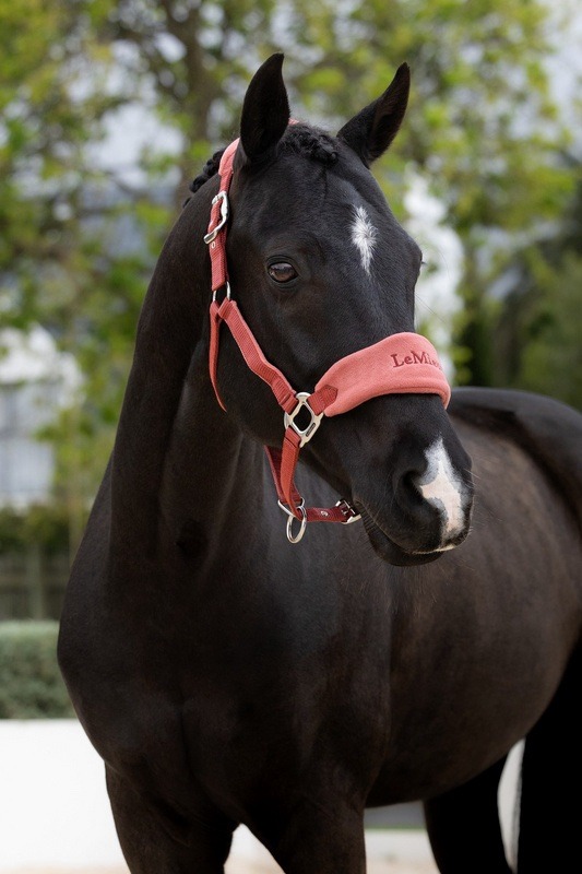 LeMieux Headcollar and Leadrope RUSSET - Image 2