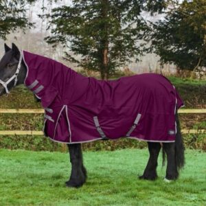 Firefoot 250g Fixed Full Neck Turnout Rug Plum